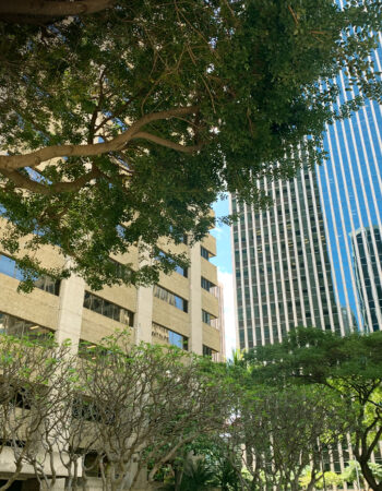 Blake Goodman, PC, Bankruptcy & Debt Settlement Attorneys