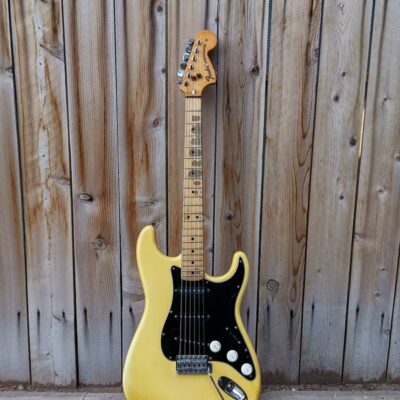 Joe's Vintage Guitars – We Buy Guitars!