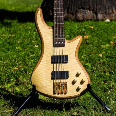 Joe's Vintage Guitars – We Buy Guitars!