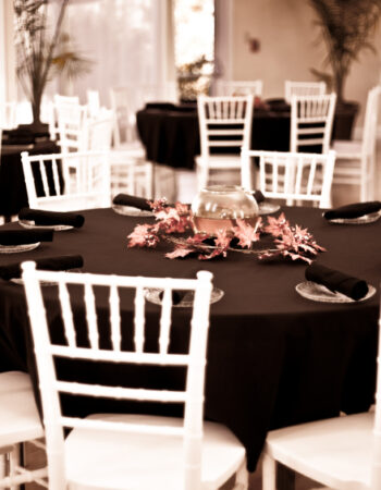 AZ Inspirations Catering