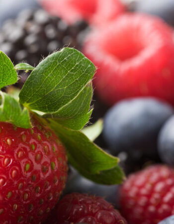 AZ Inspirations Catering