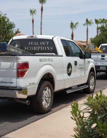 Seal Out Scorpions